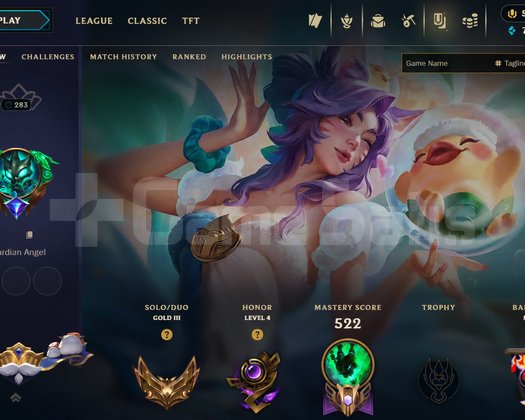 250 SKINLI 250+ LVL LOL HESABI
