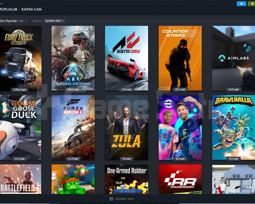 uyguna steam hesabı
