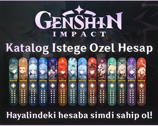 İSTEĞE GÖRE HESAP HAZIRLANIR | Genshin