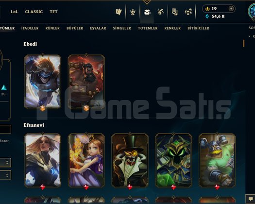 TR 453 KOSTÜM +RİOTER TOTEMİ+SDECE 33LVL