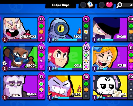Brawl stars mükemmel hesap no 1