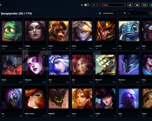 TR / 40 LVL + 1+7 SKİN + RANK HAZIR !!