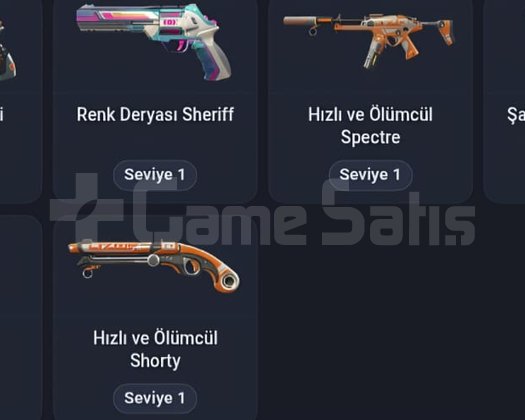 81 KAPLAMALI RADIANT PUANLI HESABIM