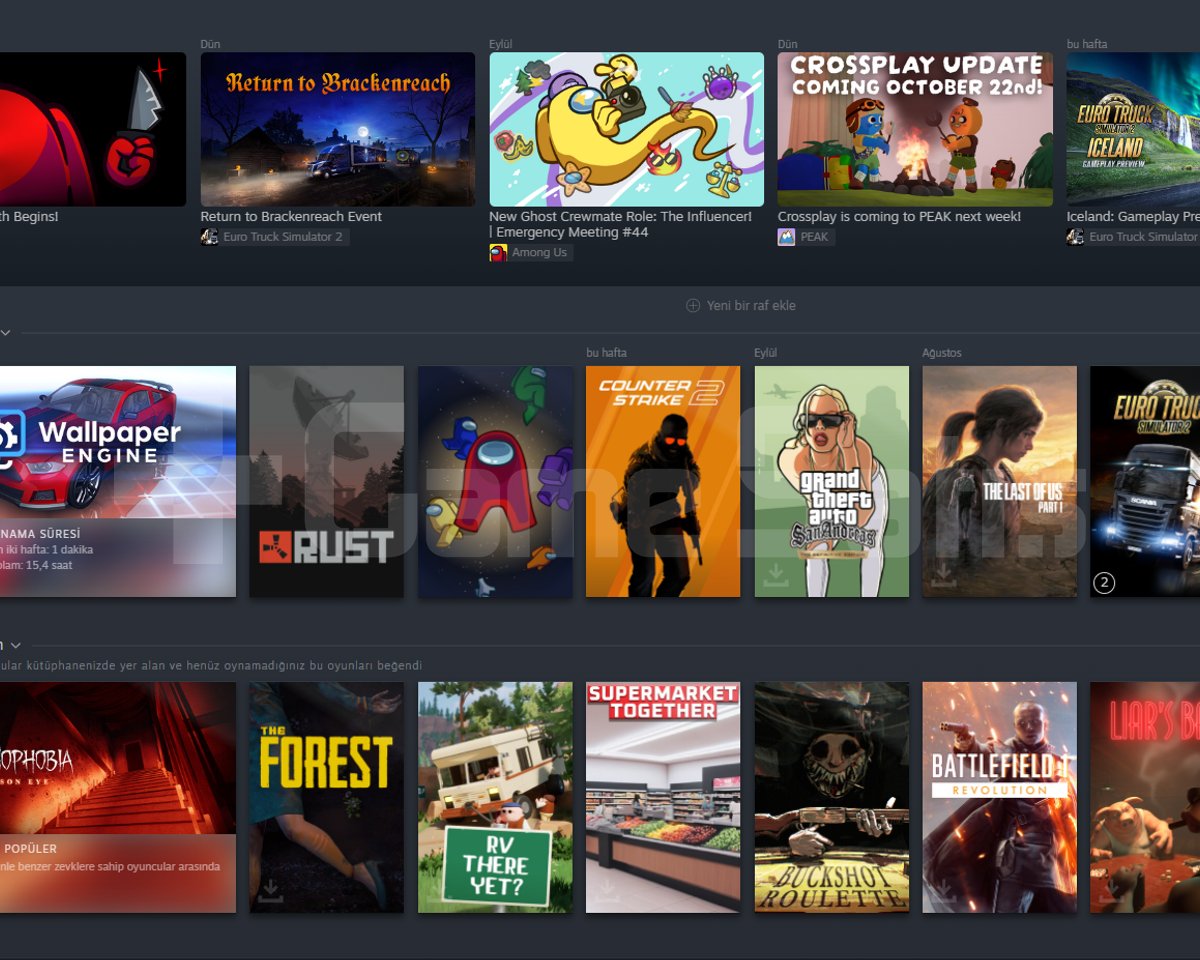 ANA STEAM HESABIM KİŞİSEL HESAP
