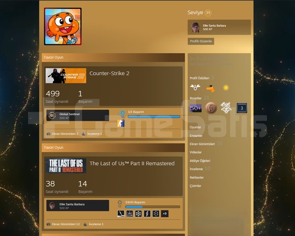 ANA STEAM HESABIM KİŞİSEL HESAP
