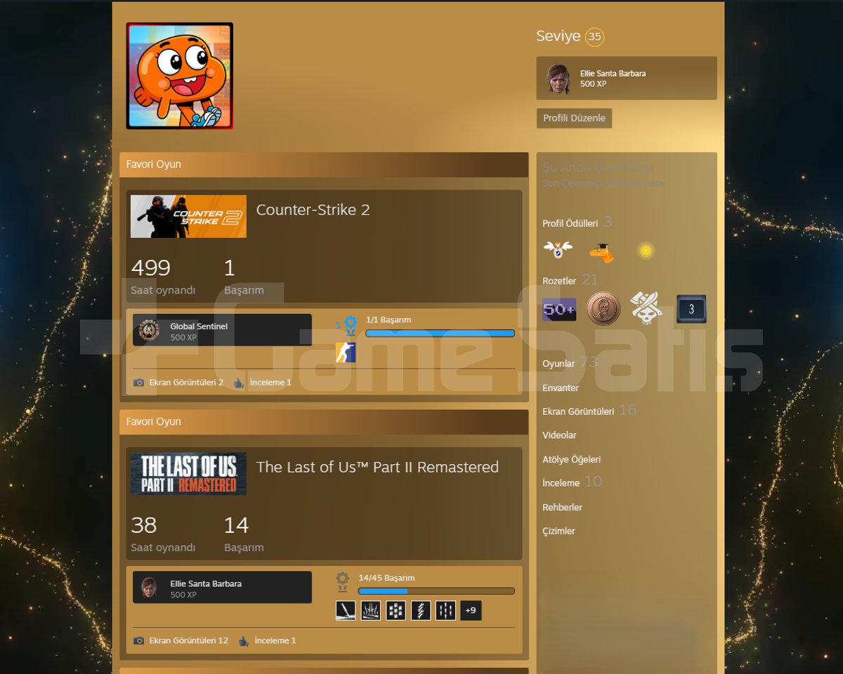 ANA STEAM HESABIM KİŞİSEL HESAP
