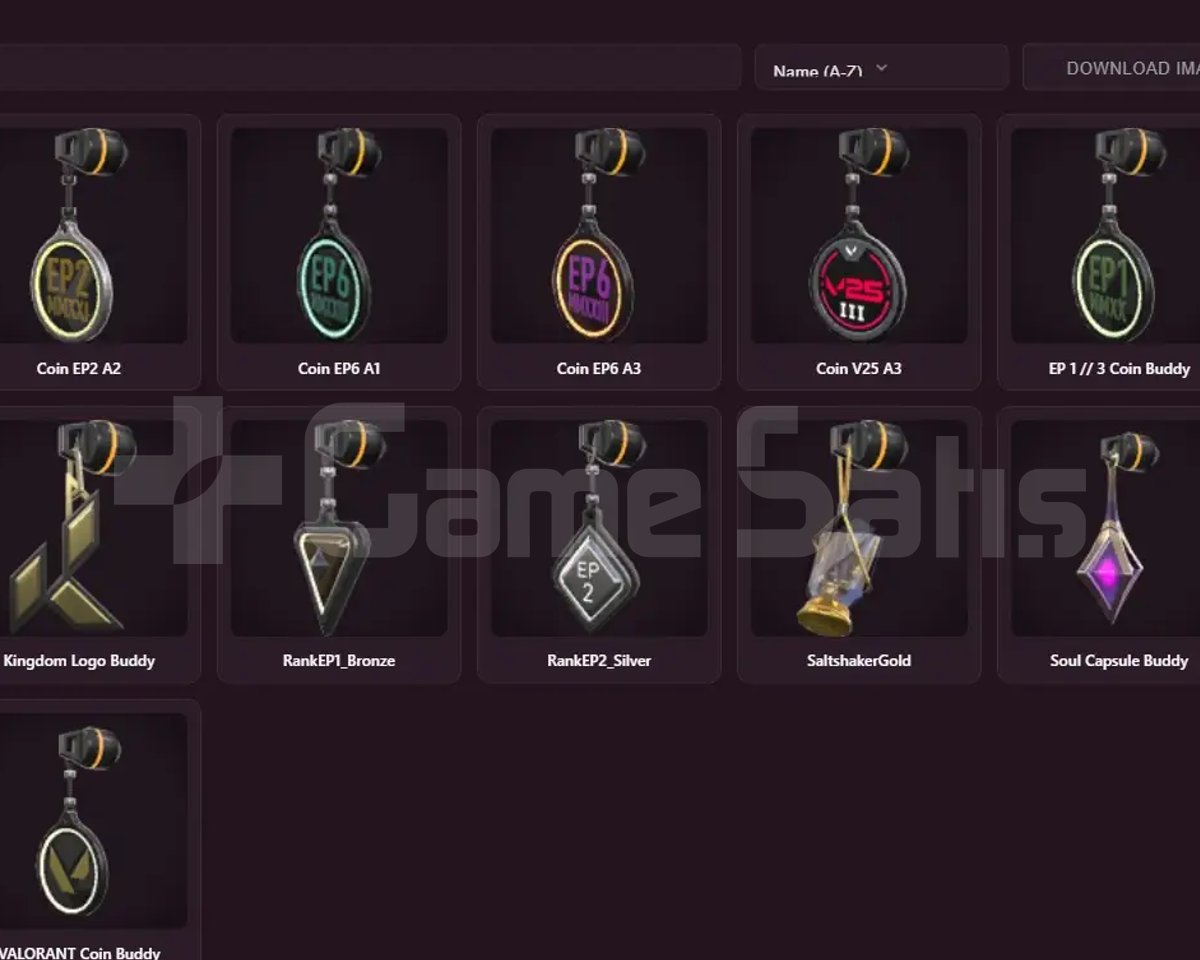 EU - DERECESİZ - 27 LVL - 1 SKIN