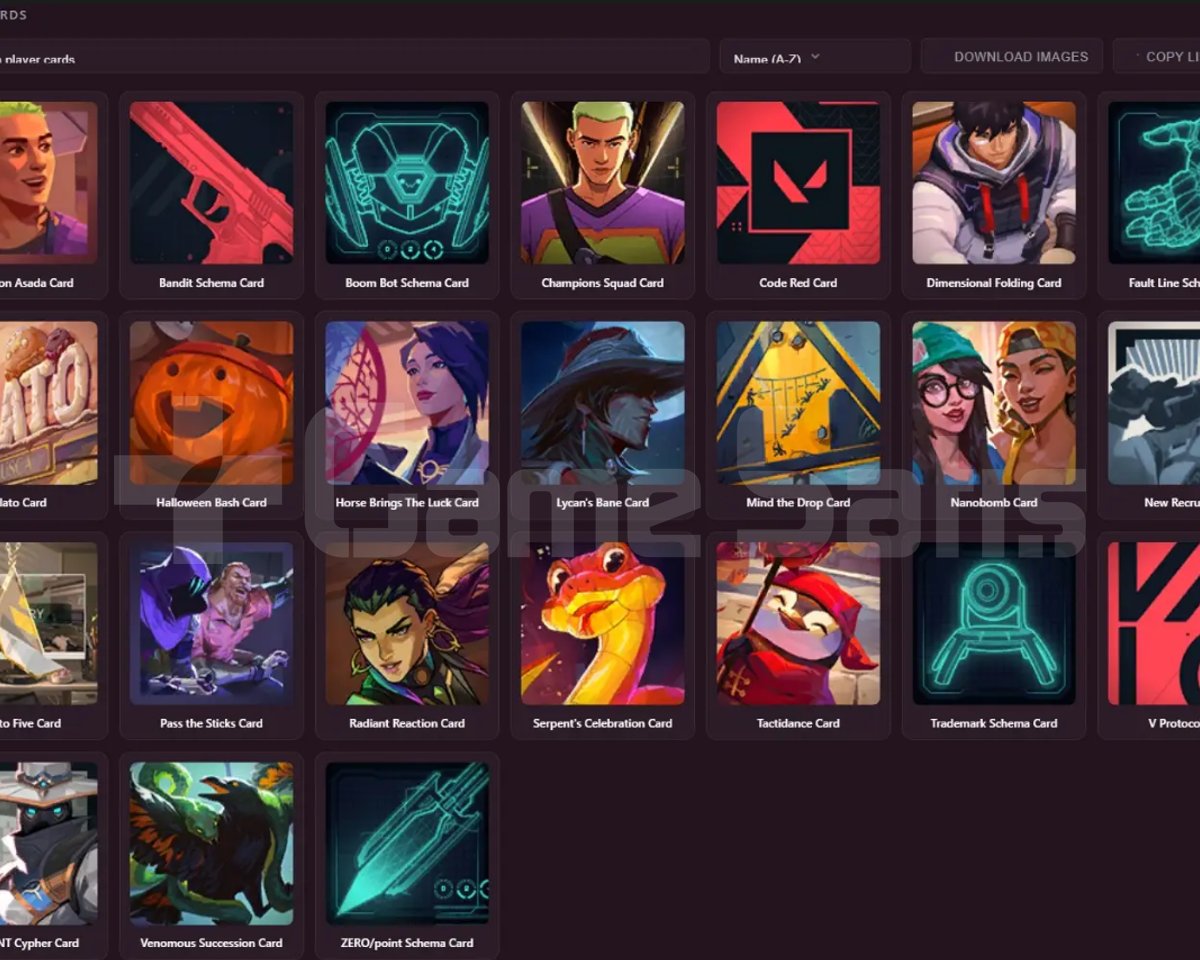 EU - RANK ATMAYA HAZIR - 38 LVL - 0 SKIN