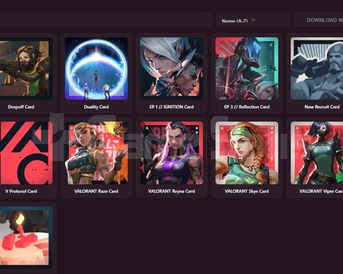 EU - RANK ATMAYA HAZIR - 29 LVL - 0 SKIN