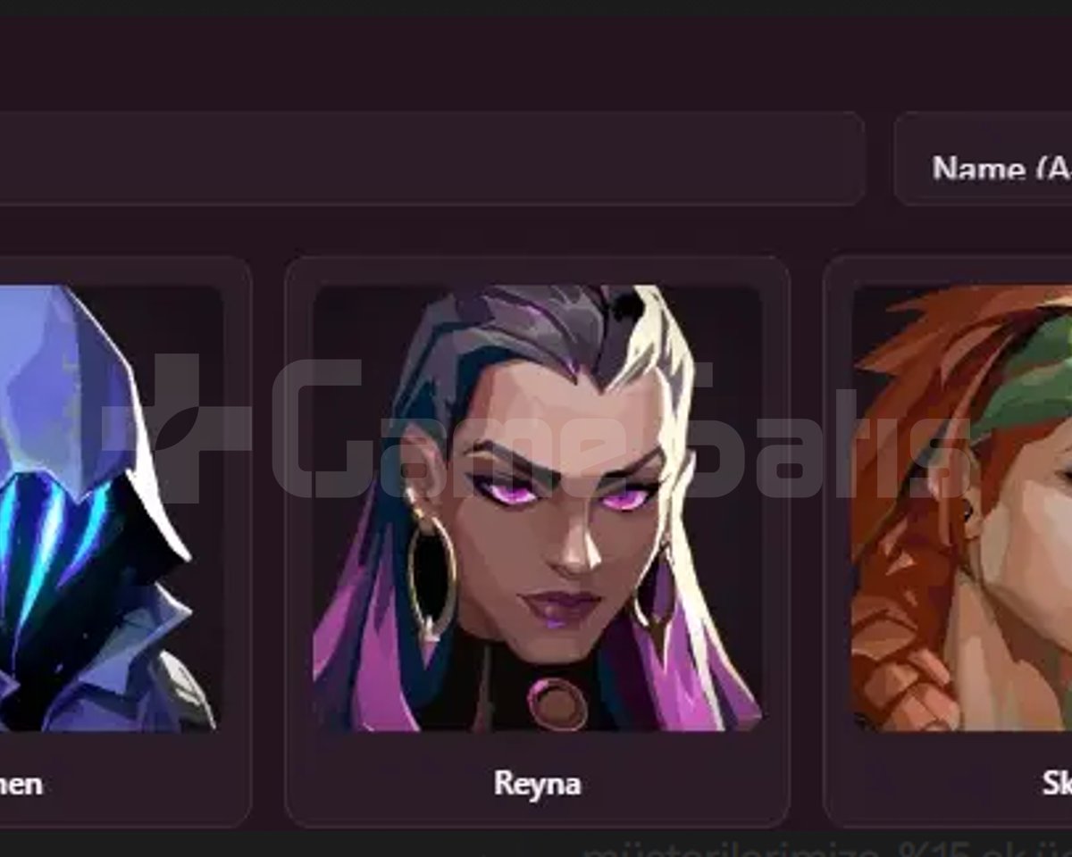EU - RANK ATMAYA HAZIR - 30 LVL - 0 SKIN
