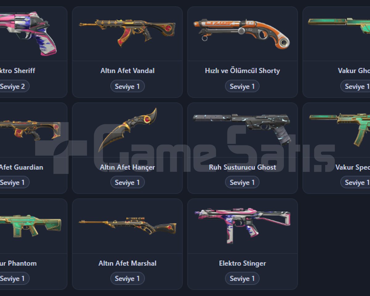 VALORANT+LOL HESABI - SKİNLİ