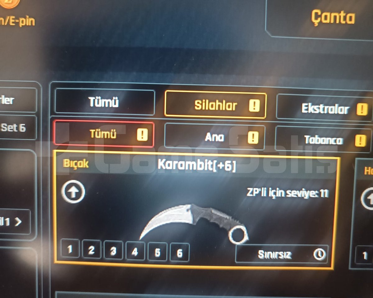 +6 SINIRSIZ KARAMBİTLİ 84 SEVİYE HESAP