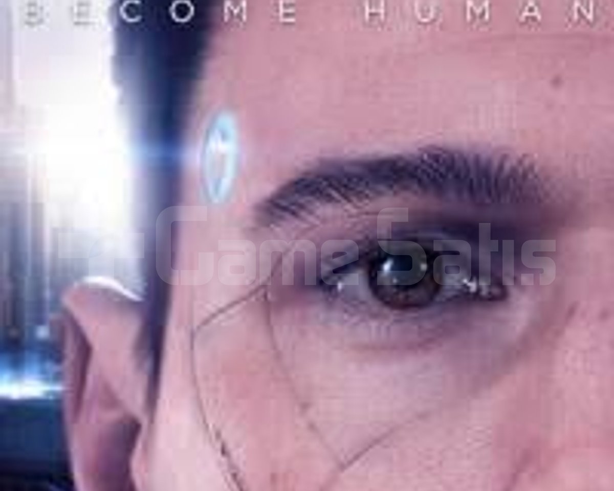 DETROİT BECOME HUMAN + GARANTİ DESTEK