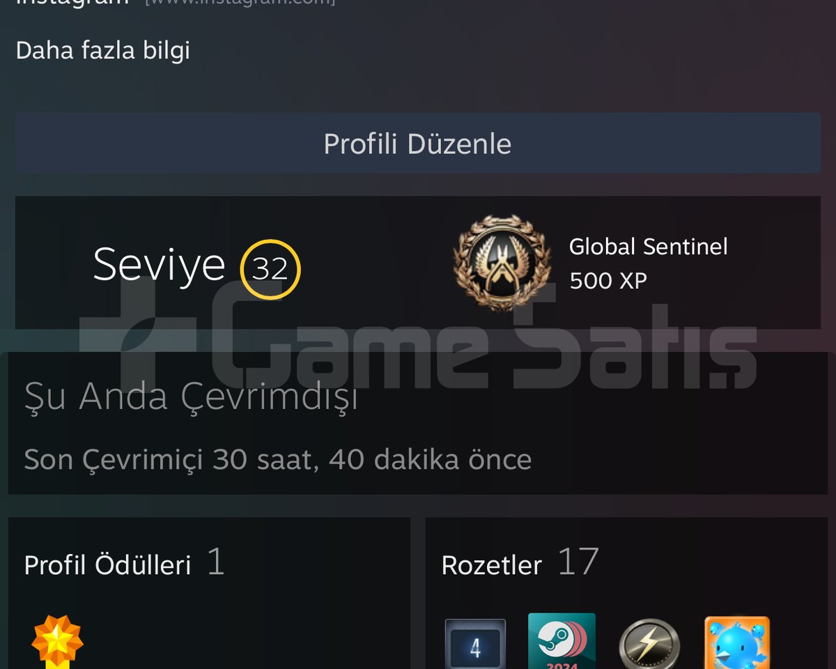 32 SEVİYE STEAM HESABI CS2 SEÇKİN 350