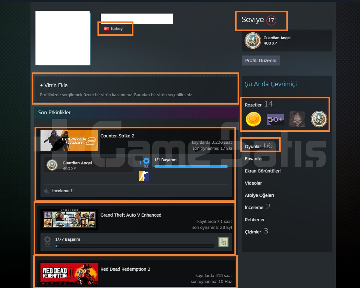 4025 TL STEAM BAKİYE RED DEAD 1-2 GTA IV