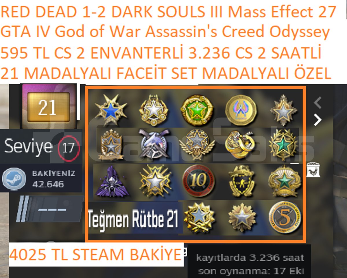 4025 TL STEAM BAKİYE RED DEAD 1-2 GTA IV