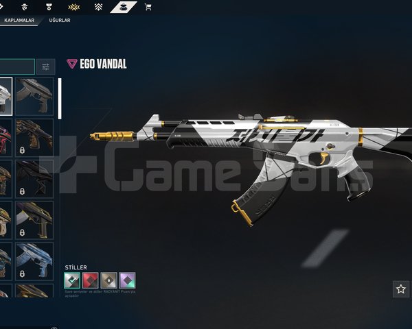 Ego Vandallı, 13 Level Hesap