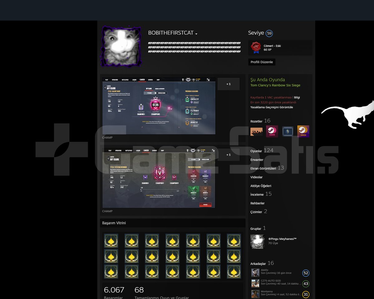 9 YILLIK STEAM HESABI BAKMAYA DEĞER