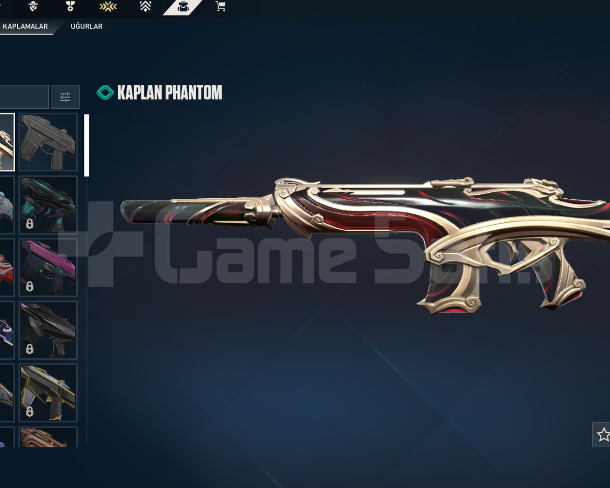3 Tane Vp Skini, 24 Level