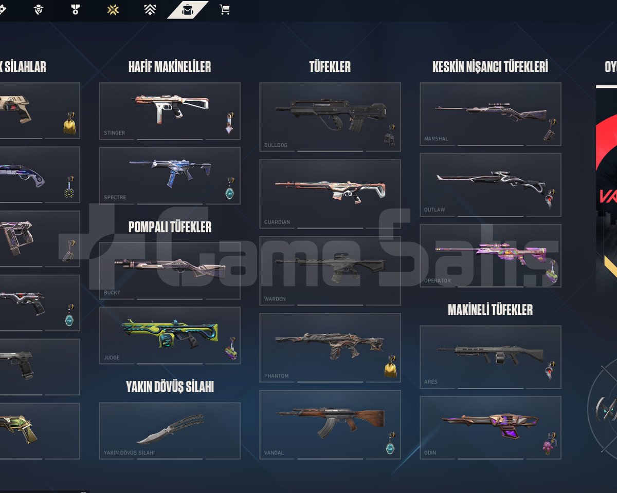 7+ VPli Skin, 20+ Battle Pass Skini