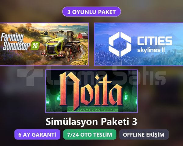 FS25 + Skylines 2 + Noita Paketi Steam