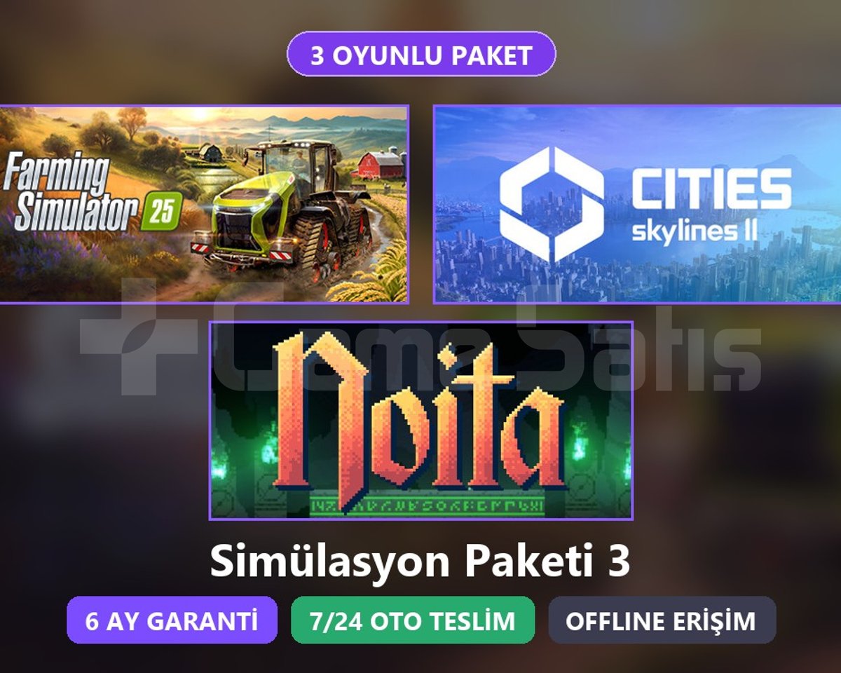FS25 + Skylines 2 + Noita Paketi Steam