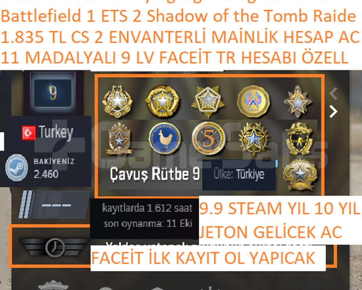 ETS 2 Battlefield 1 Dying Light Enigmoon