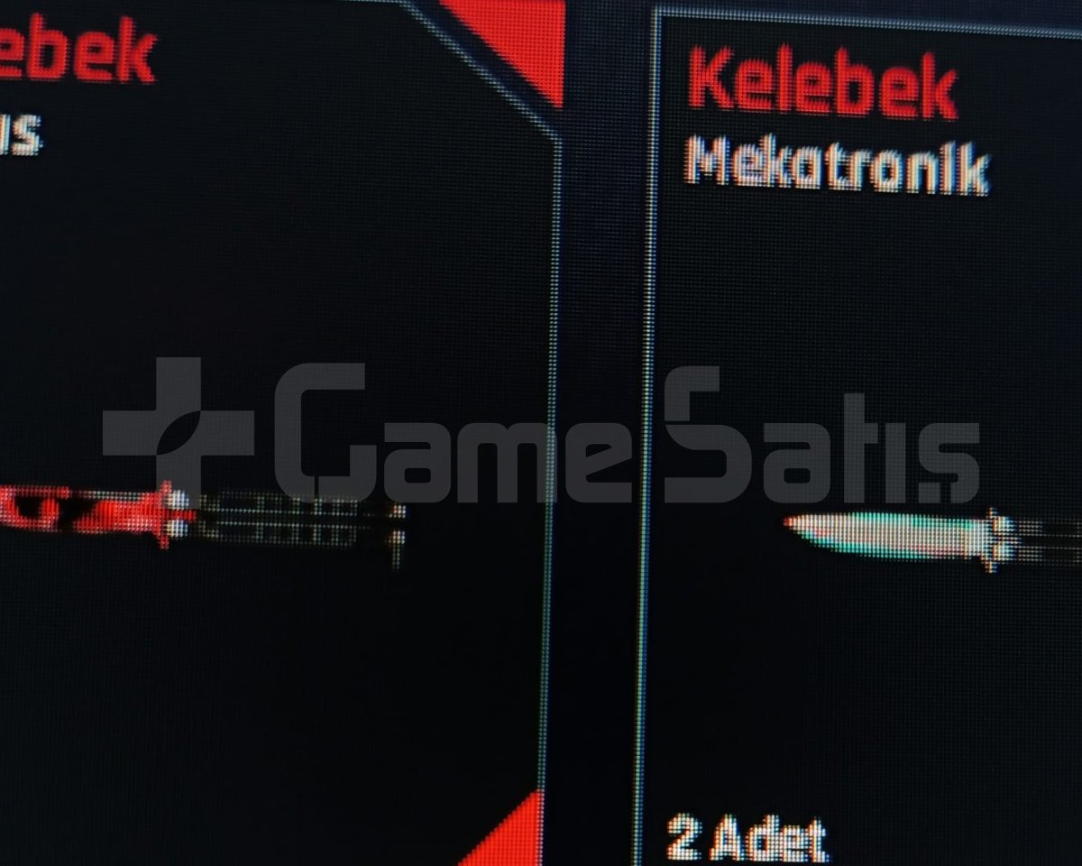 48 LVL USTA RÜTBELİ DOLU DOLU HESAP