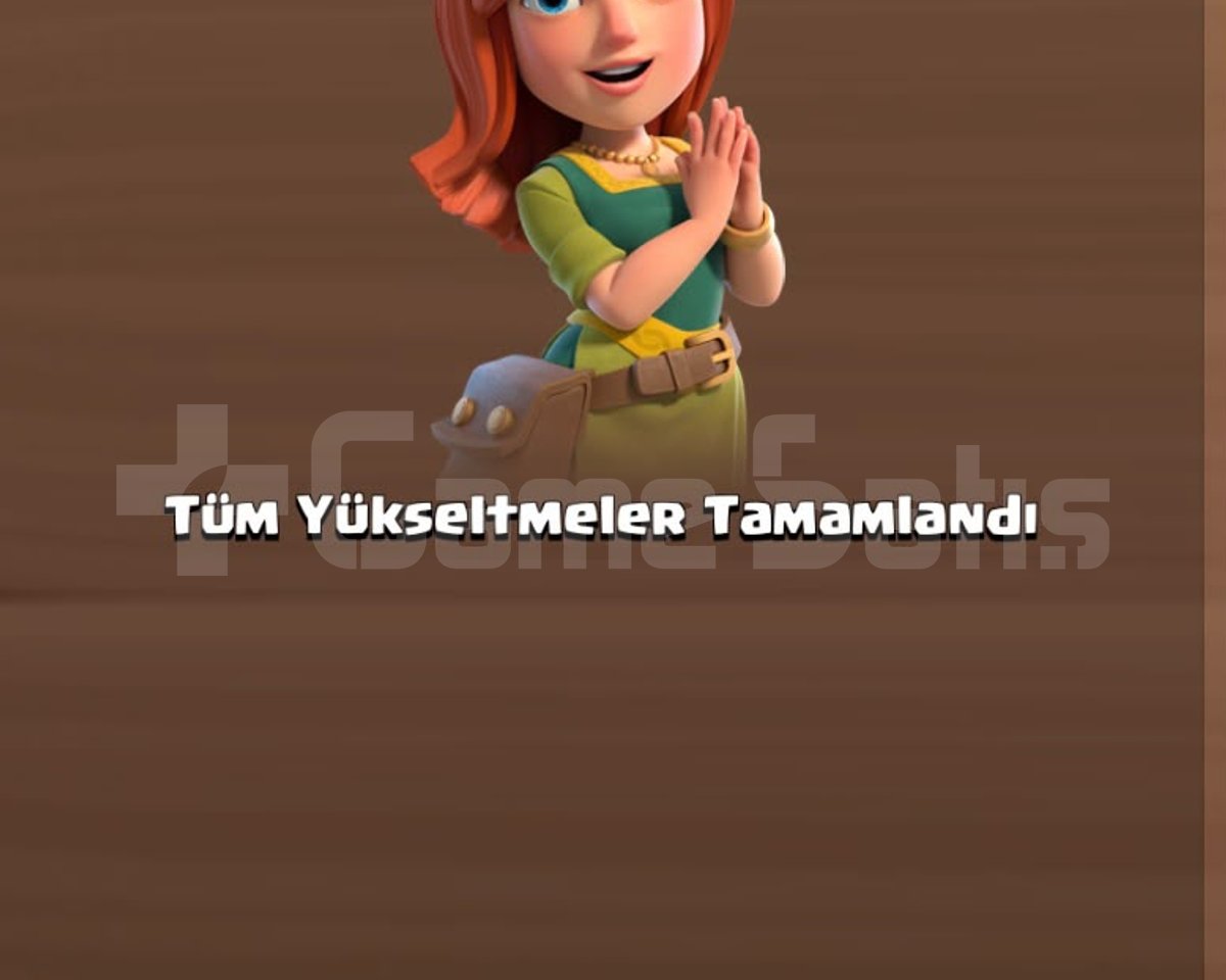 DELİSİNE KOLEKSİYONLUK HESAP
