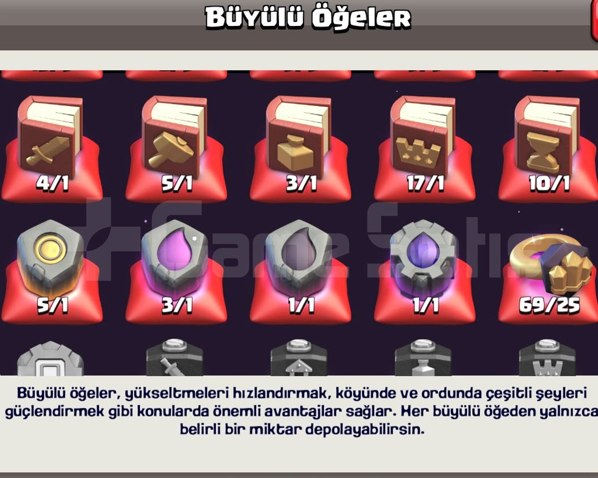DELİSİNE KOLEKSİYONLUK HESAP