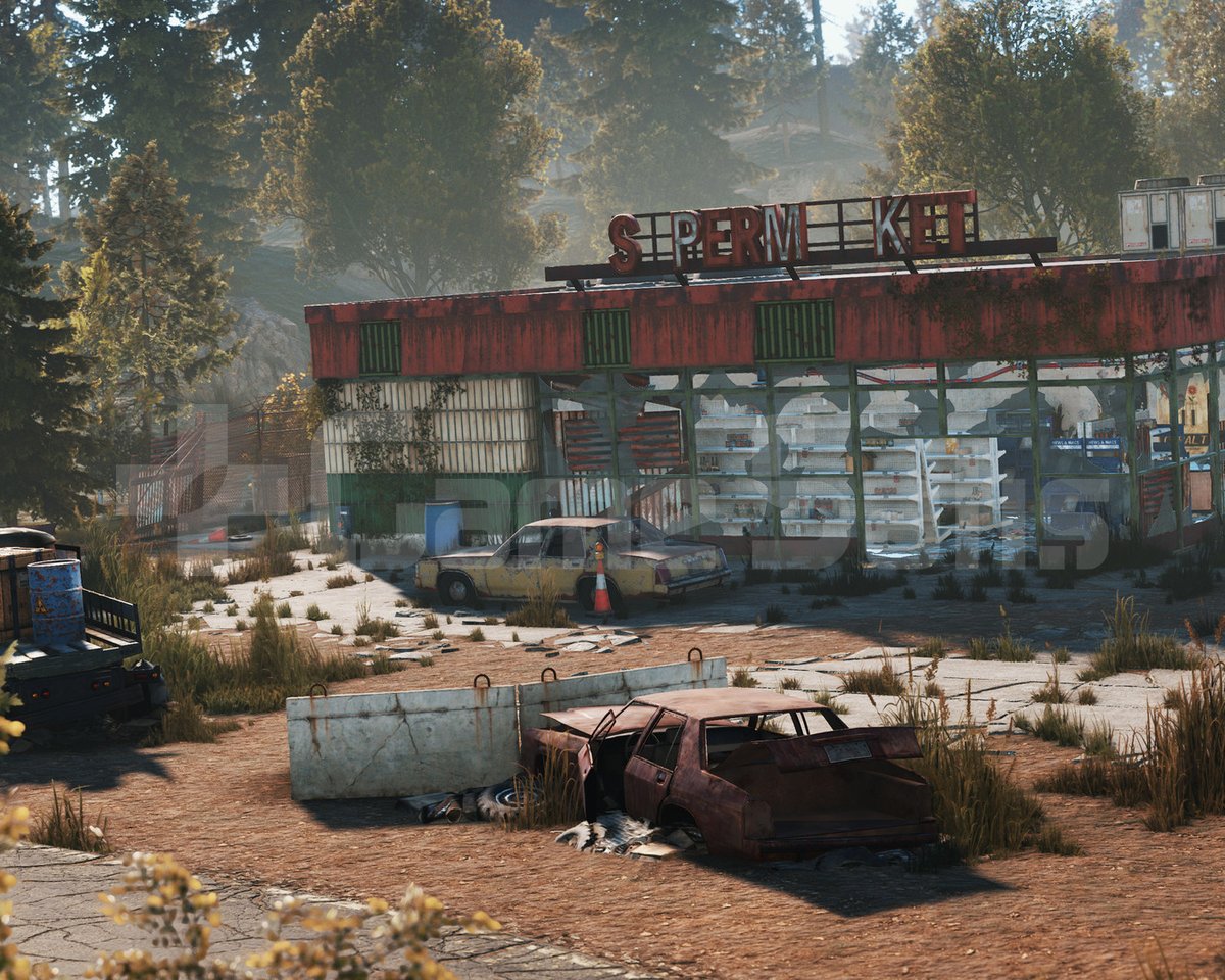 Rust Standard Edition Steam Hesabı