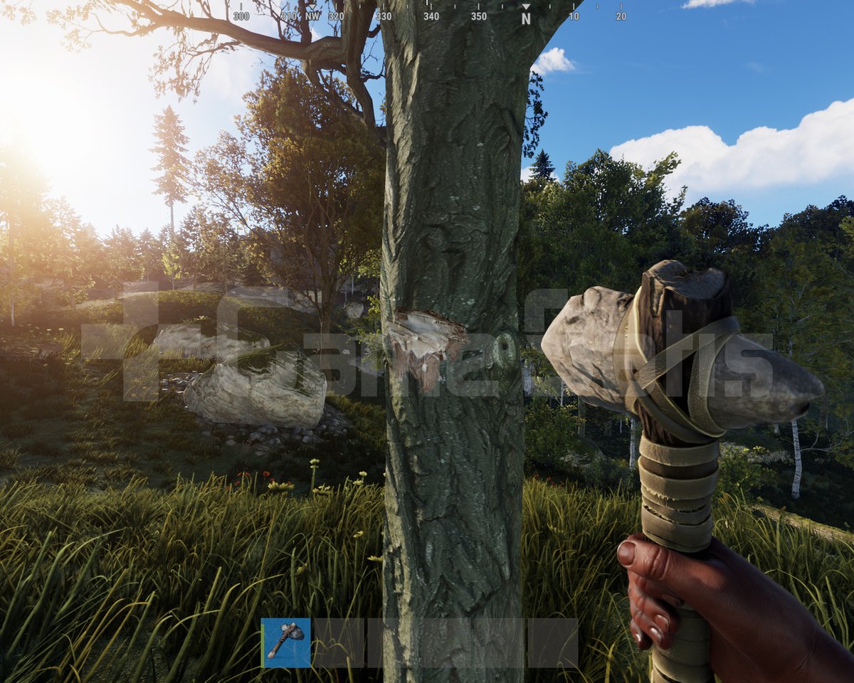 Rust Standard Edition Steam Hesabı