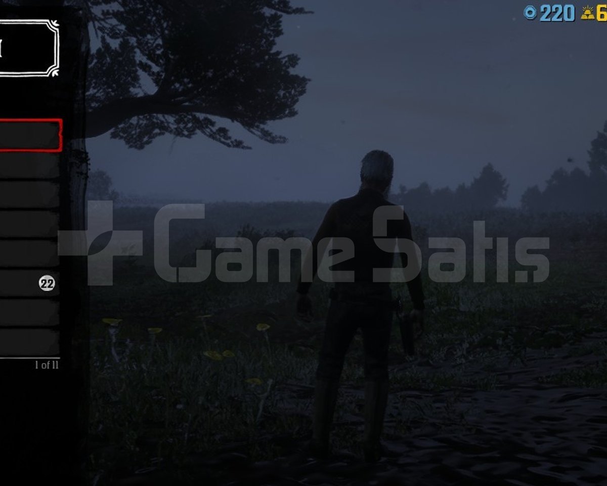RDR 2 60.000 GOLD +910 LEVEL +5.000.000