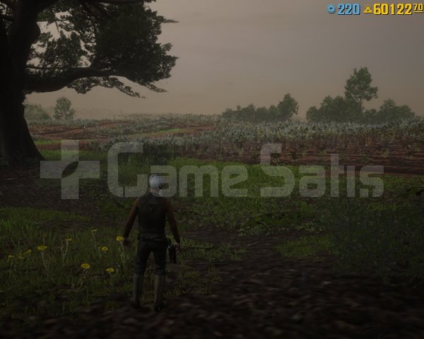 RDR 2 60.000 GOLD +910 LEVEL +5.000.000