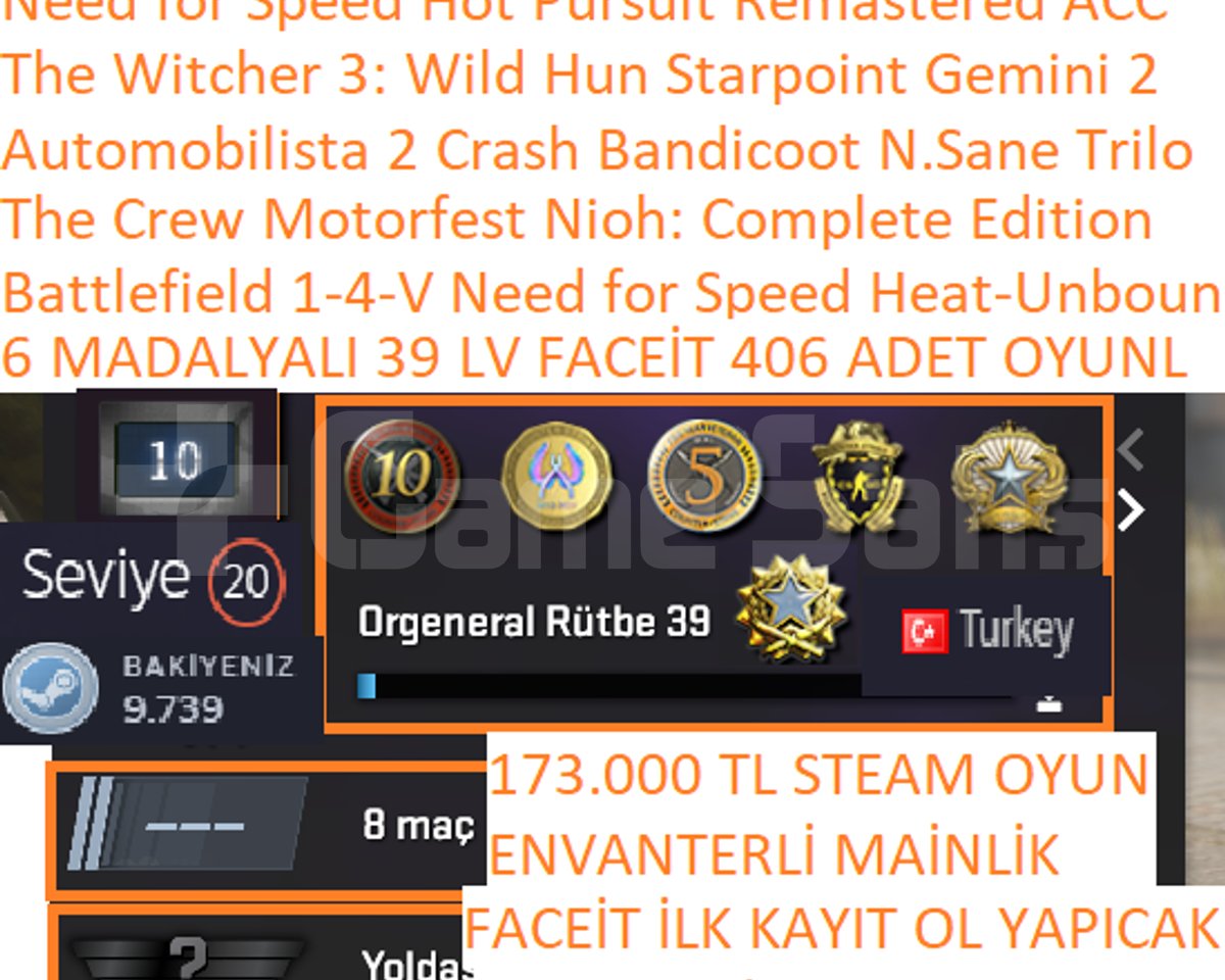 173.000 TL STEAM OYUNLU Battlefield 1-4-