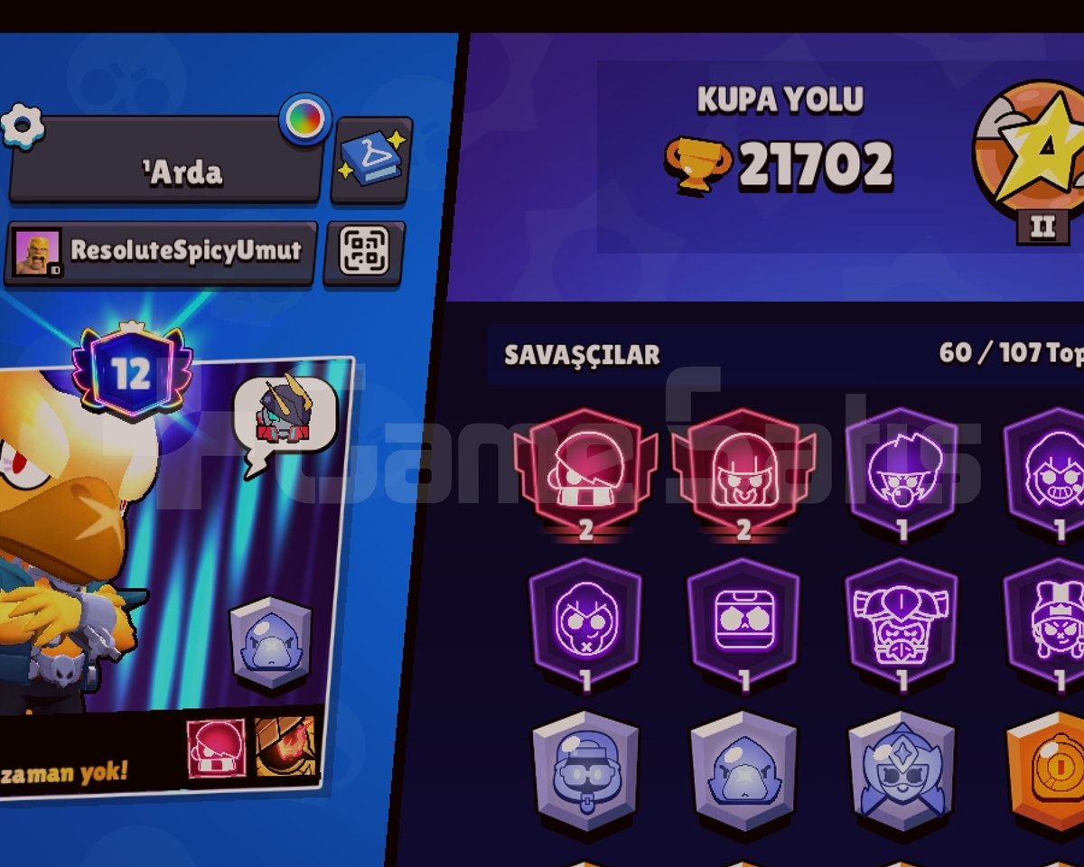 22 k kupa brawlStars hesabı dolu dolu