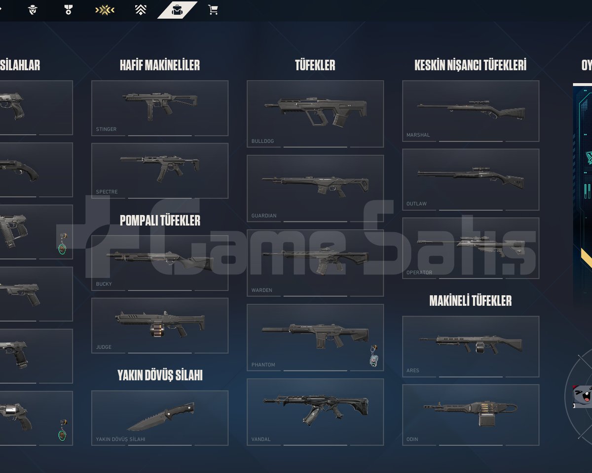 Yağmacı Vandallı, 27 Level Hesap