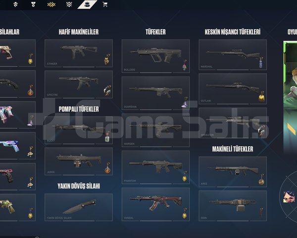 229 Level, Yağmacı Vandal, 10+ Skinli