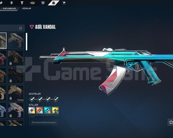 Asil Vandallı, 22 Level Hesap