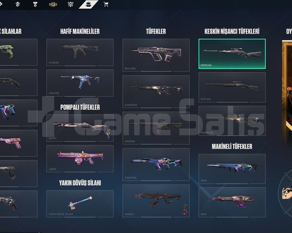 Vandal Skinleri, Toplam 30+ Skin
