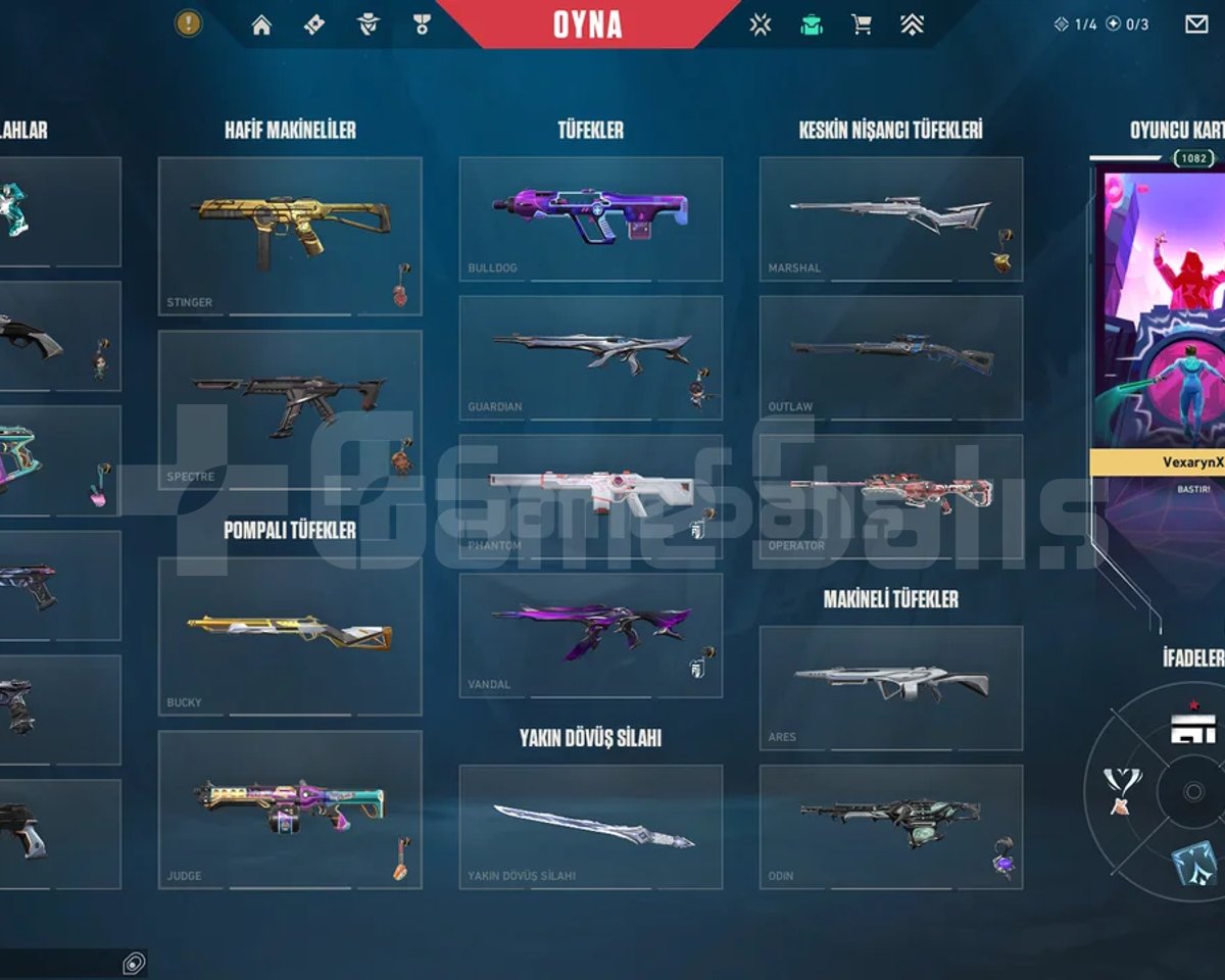 1100 LVL | İMMO 3 | 800+ SKIN