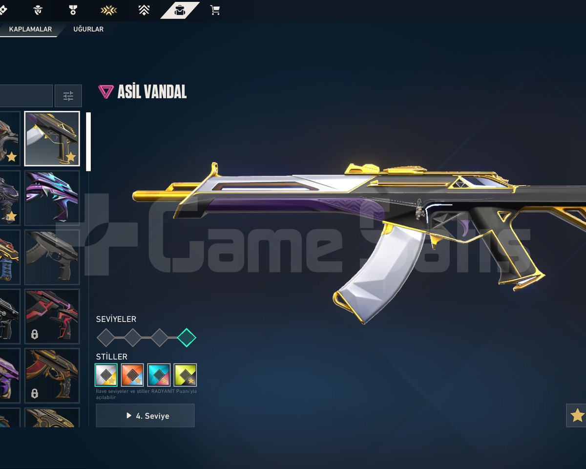 60+ Skinli, 35000+ VP Yatırılmış, Full
