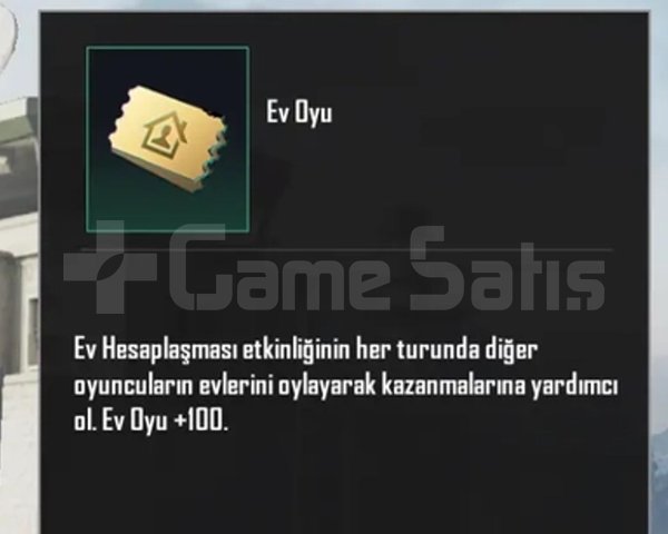 4000 adet ev oyu