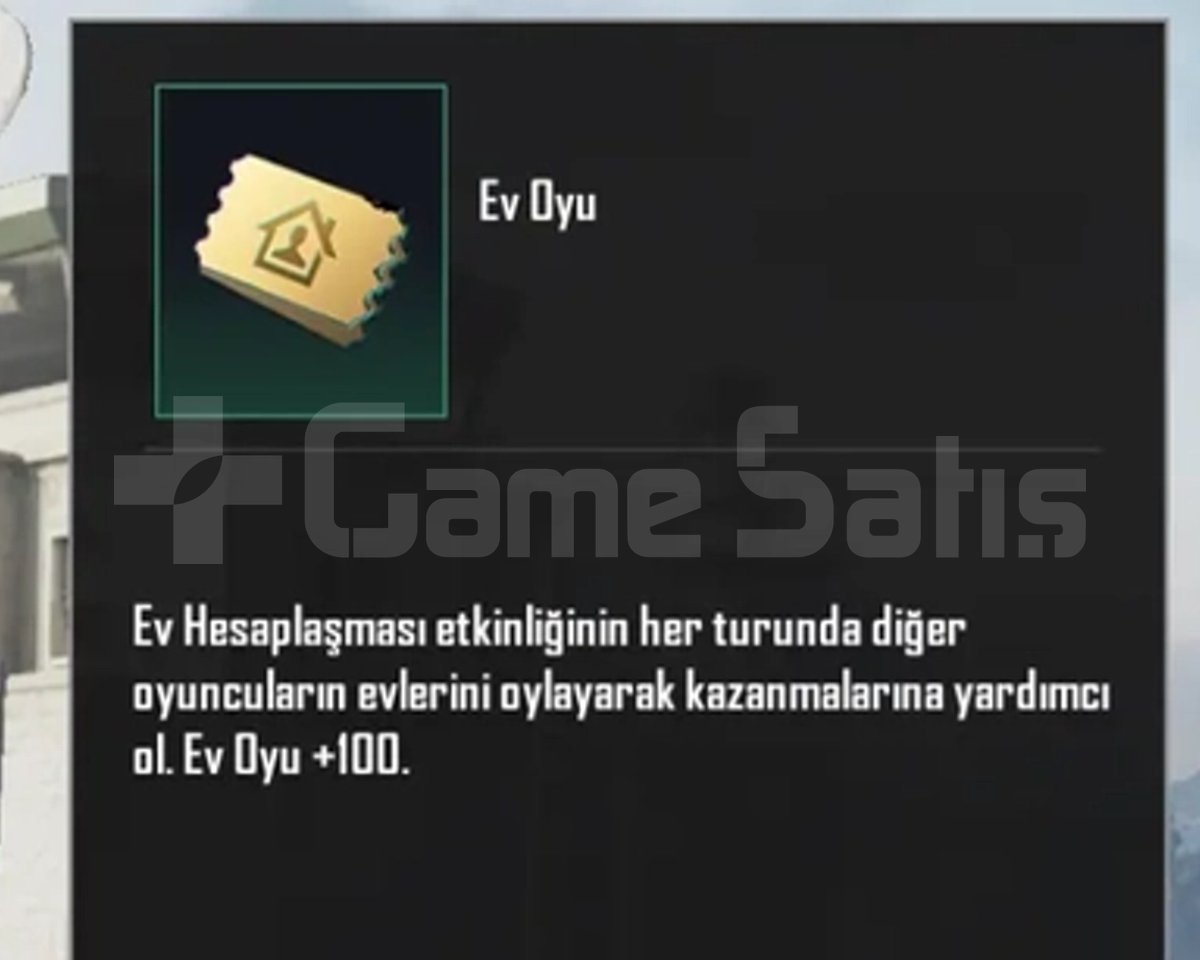 4000 adet ev oyu