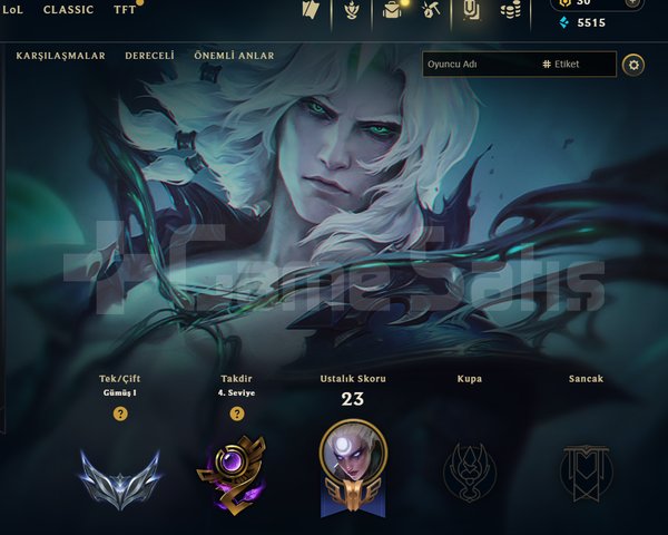 EUW / GÜMÜŞ 1 / 3 SKİN - 40 HERO