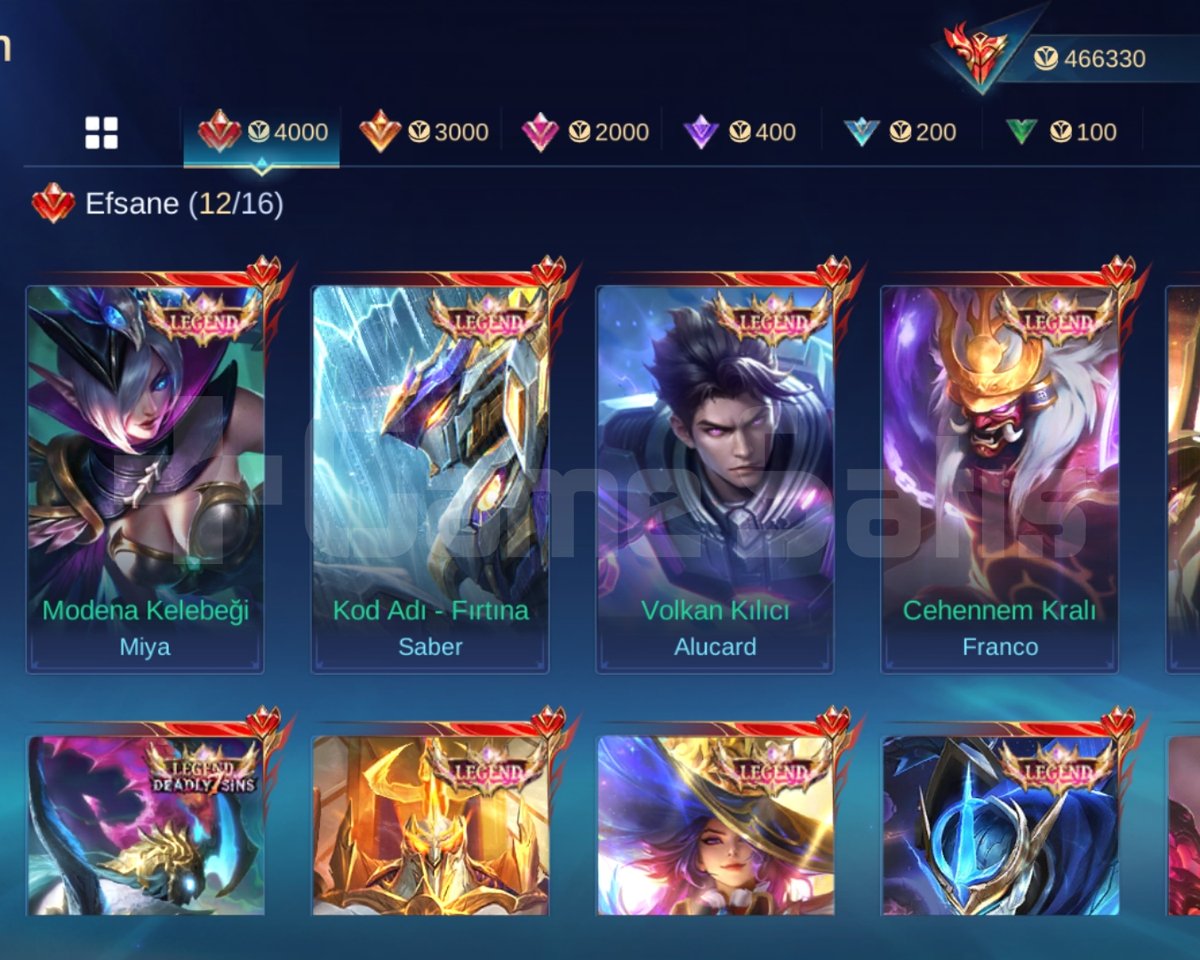 KÜRESEL 30K 650 KOSTUM ADC MAİN /KELEPİR
