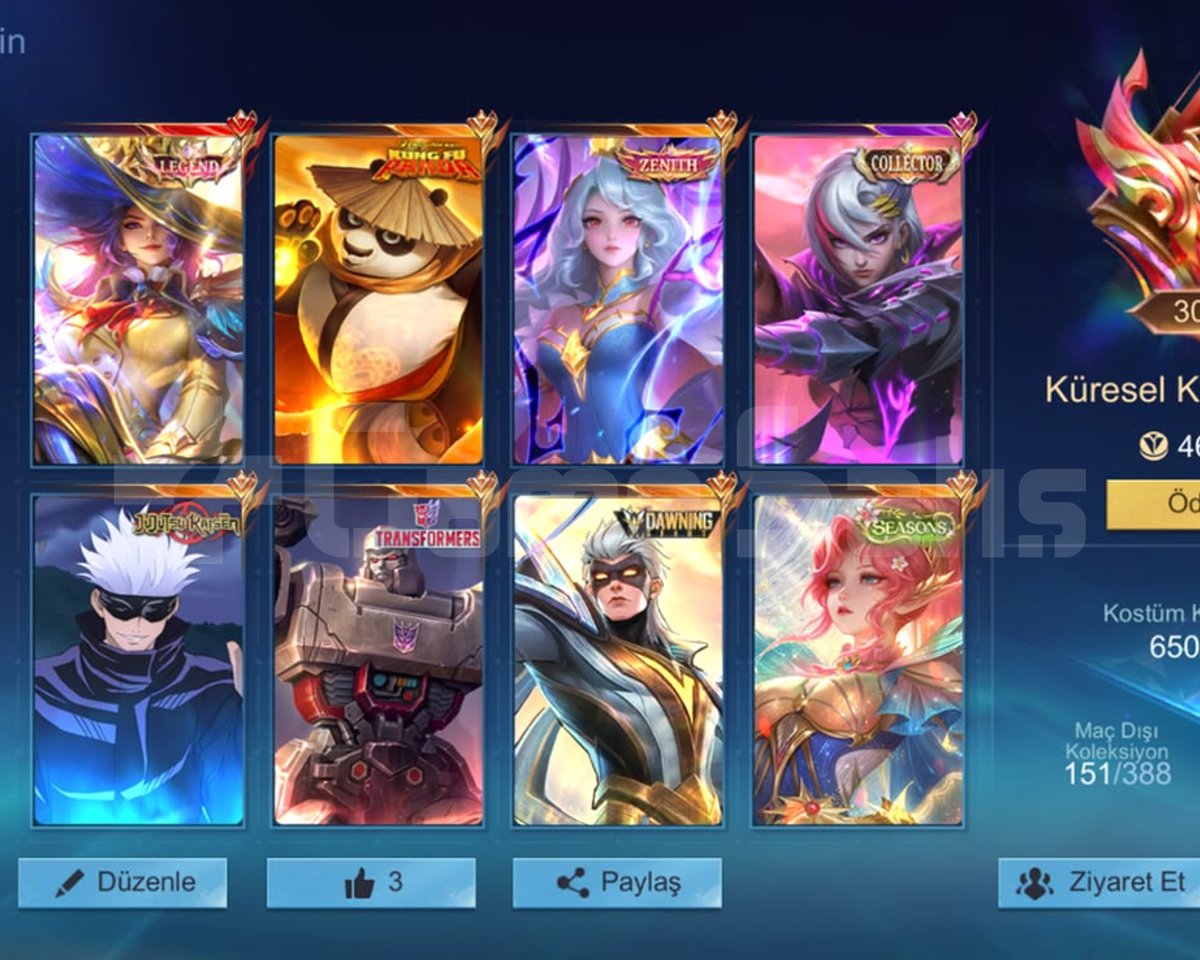 KÜRESEL 30K 650 KOSTUM ADC MAİN /KELEPİR