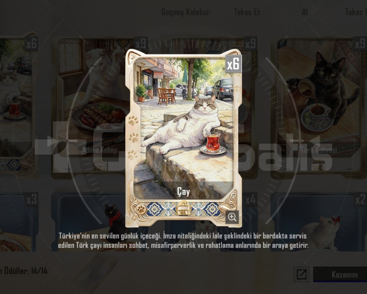 PUBG MOBİLE CAY KARTI