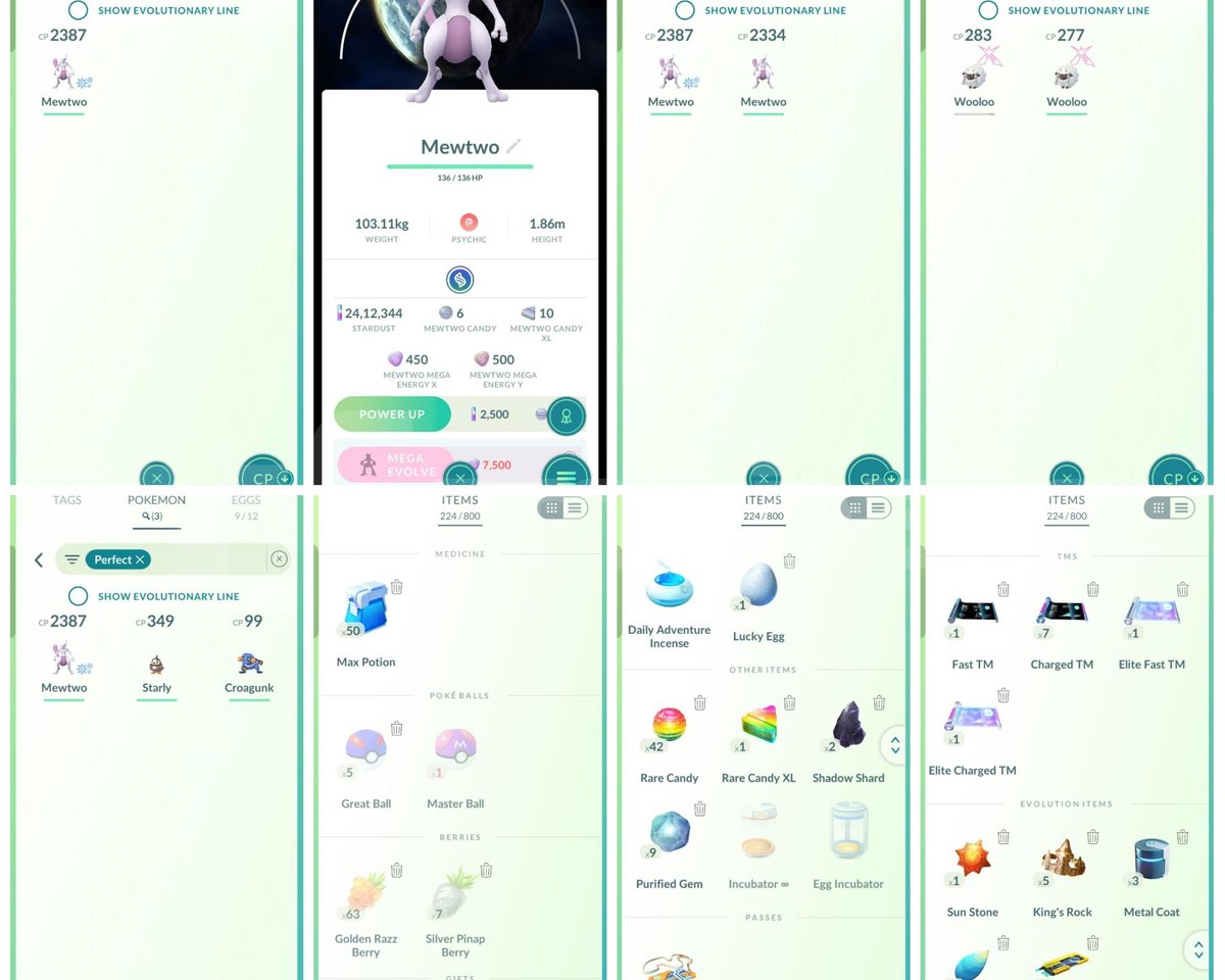 AŞIRI NADİR POKEMON GO HESABI