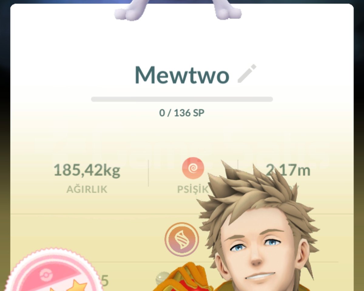 AŞIRI NADİR POKEMON GO HESABI